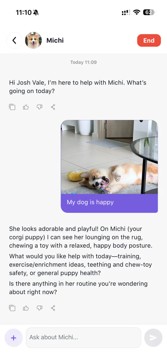 ASK A VET app chat screen