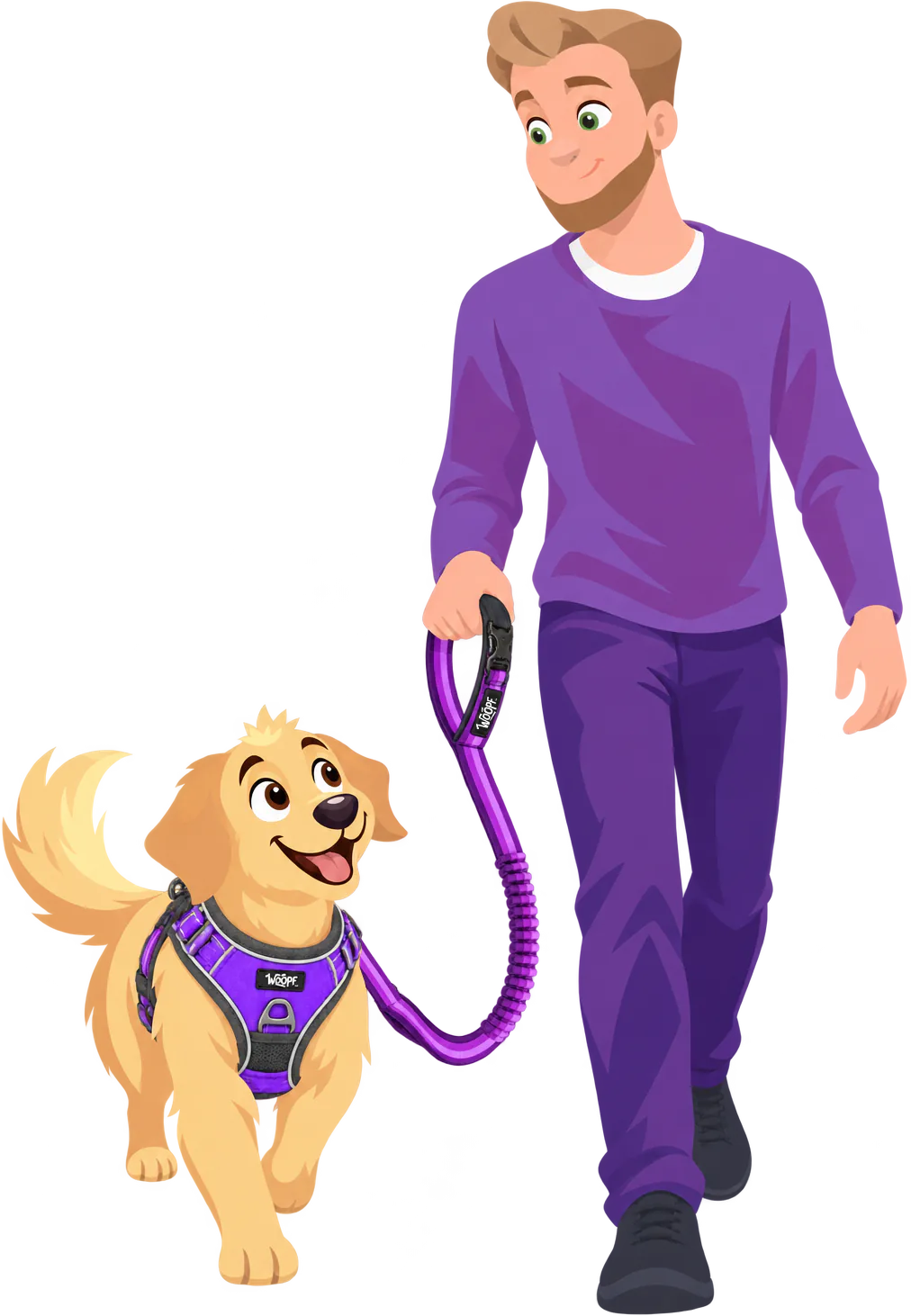 A man in a purple jumper walks beside a golden retriever in a purple WOOPF™ harness, holding the padded handle of a purple Explorer Bungee Leash with the bungee section between them.