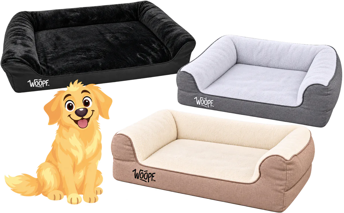 Illustrated SNÖR Vet Orthopedic Beds in black, grey and cream beside a sitting golden retriever