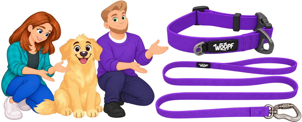 Illustrated woman and man kneeling beside a sitting golden retriever, both pointing to a purple WOOPF™ Sealskin Collar and a purple Sealskin Leash drawn beside them