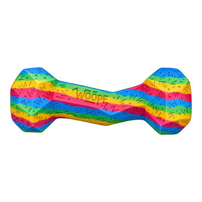 Rainbow Small Chewster Blocky Bone