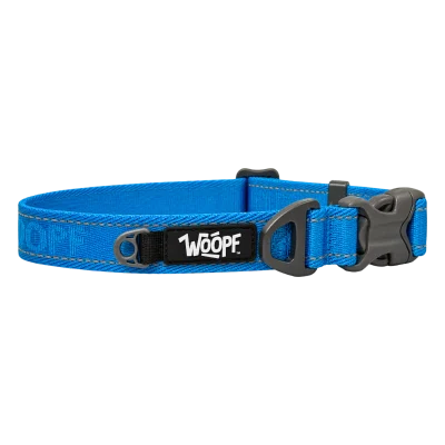 Blue Explorer Collar