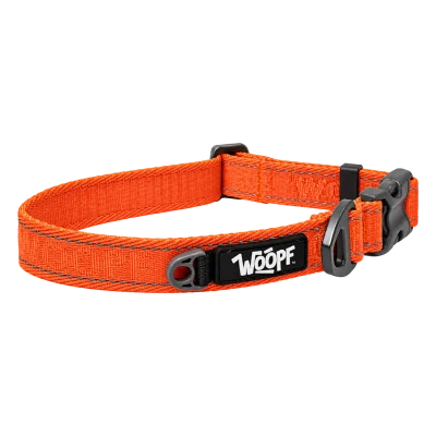 Orange Explorer Collar
