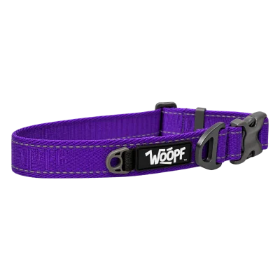 Purple Explorer Collar