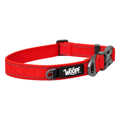 Red Explorer Collar