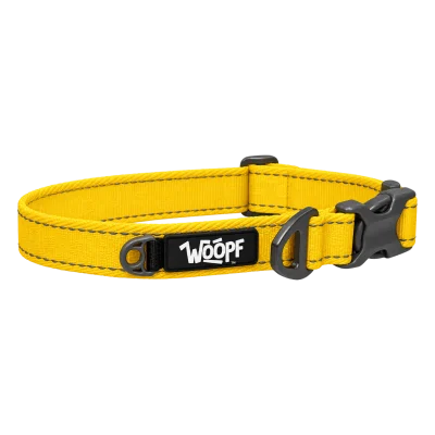 Yellow Explorer Collar