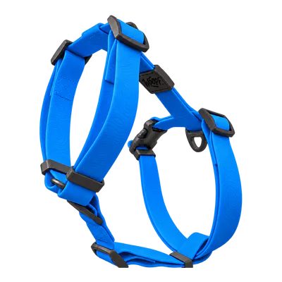 Blue Sealskin Harness