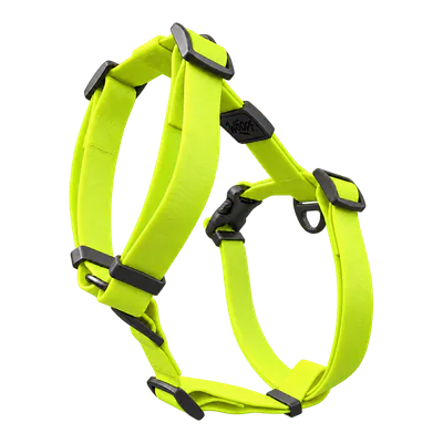 Green Sealskin Harness
