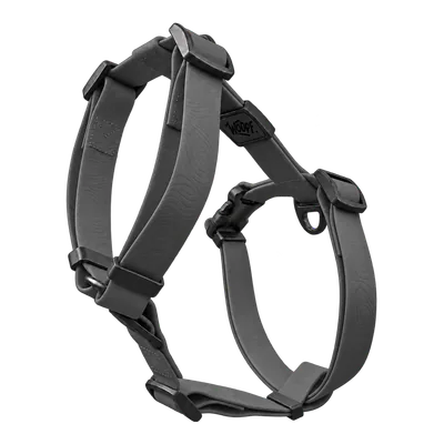 Grey Sealskin Harness