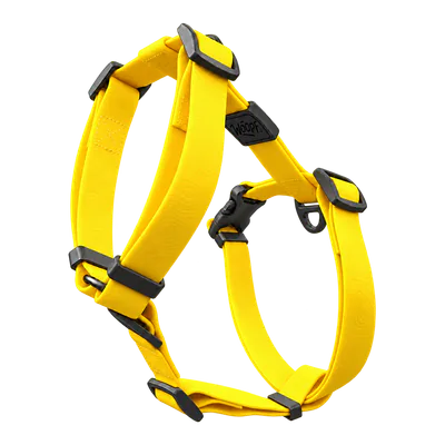 Yellow Sealskin Harness