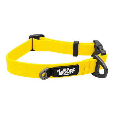 Yellow Sealskin Collar