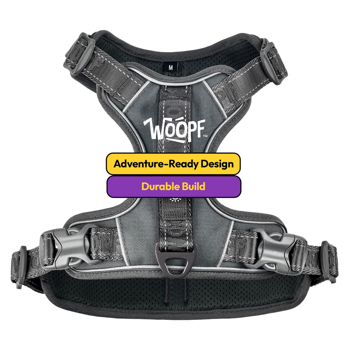 Stop Dog Pulling on Lead: Vet-Approved Harness Tips