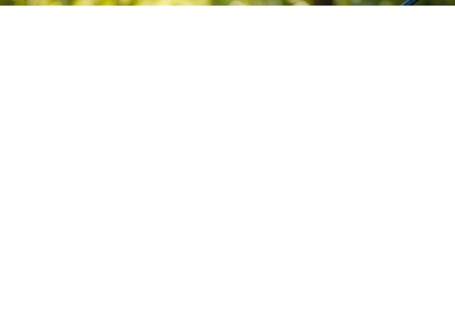 Best Harness for Escape Artists Vet Designed 2025 🐕🔐