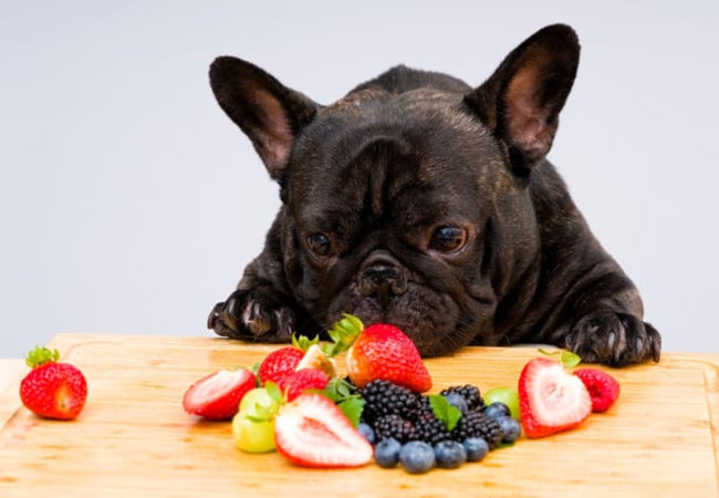 Fruits Dogs Can & Cannot Eat 2025: Vet-Approved Complete Guide 🍎✨