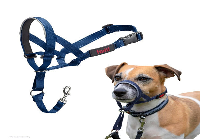 Vet-Approved: Dual Dog Lead vs Halti & Amazon Basics
