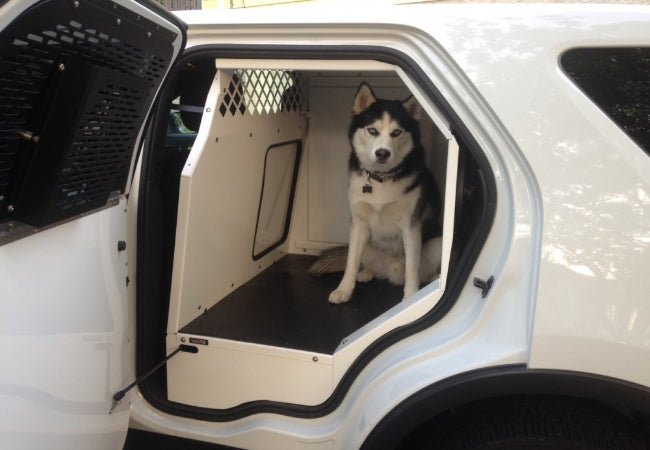Vet-Approved: Explorer Dual Pocket Dispenser