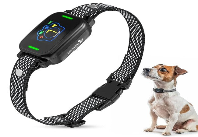 Vet Approved: Sealskin Waterproof Collar for Safety & Strength