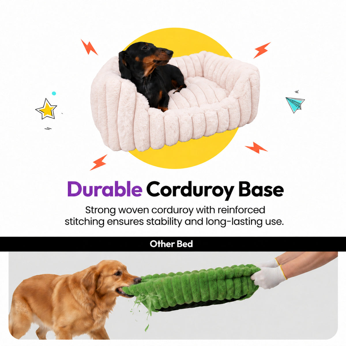 Pale pink | Furry Corduroy Open Front Rectangle Bed: Dachshund sitting in the Pale pink bed above a strip of a dog tearing apart another bed, headed Durable Corduroy Base
