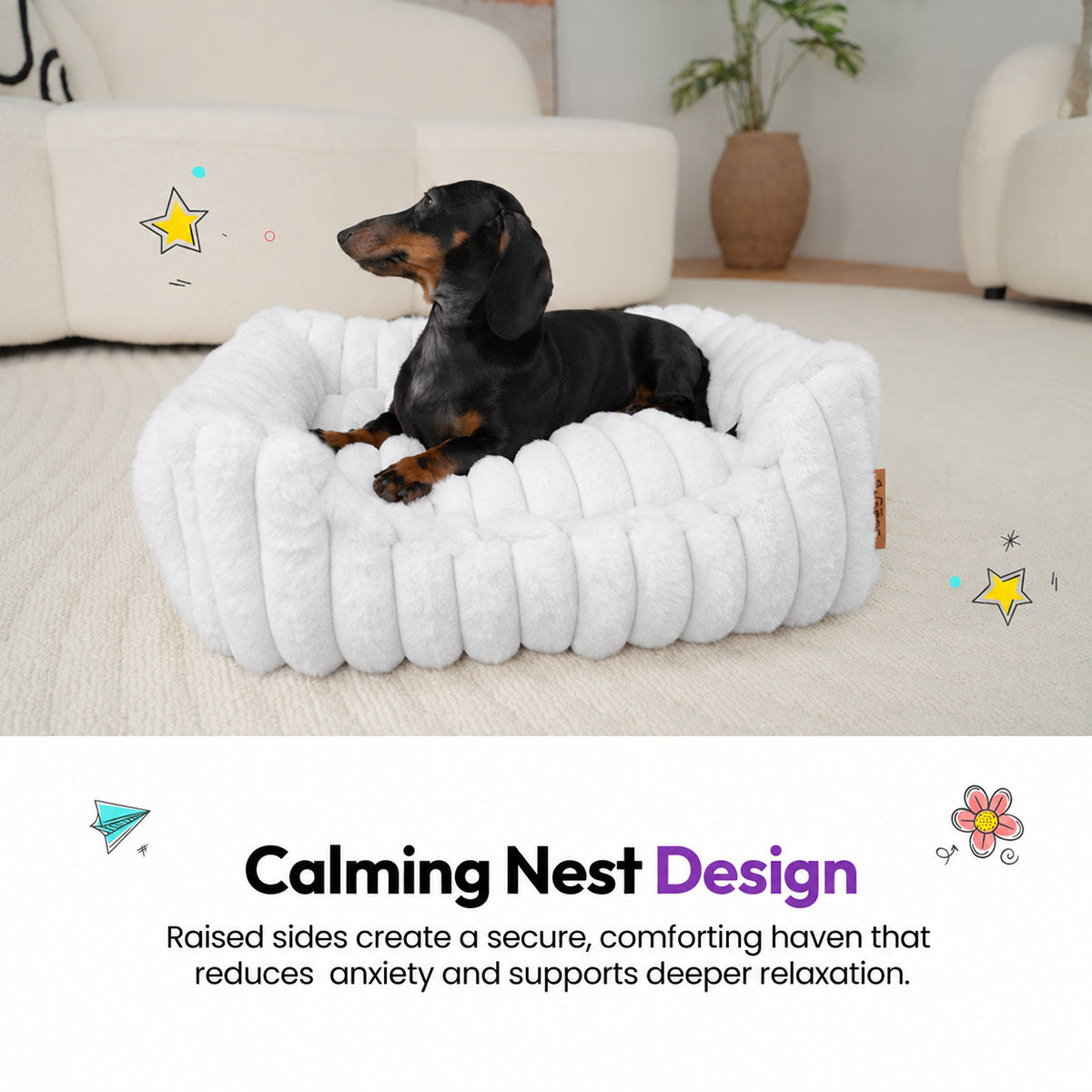 White | Furry Corduroy Open Front Rectangle Bed: Dachshund lying in the White bed in a living room