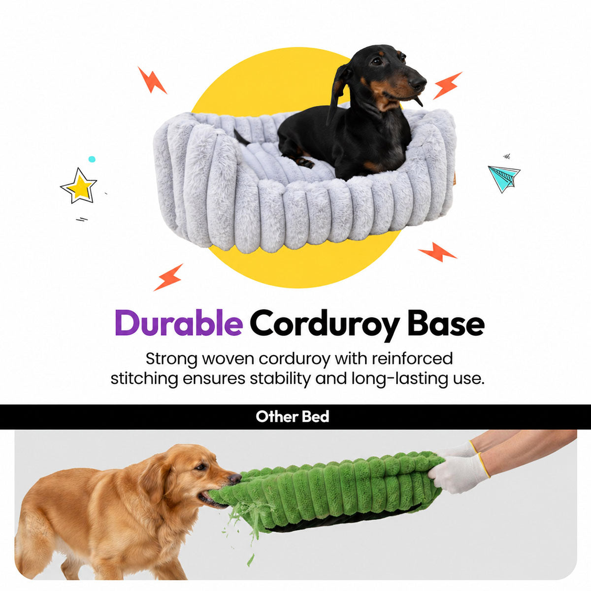 Grey | Furry Corduroy Open Front Rectangle Bed: Dachshund sitting in the Grey bed above a strip of a dog tearing apart another bed, headed Durable Corduroy Base