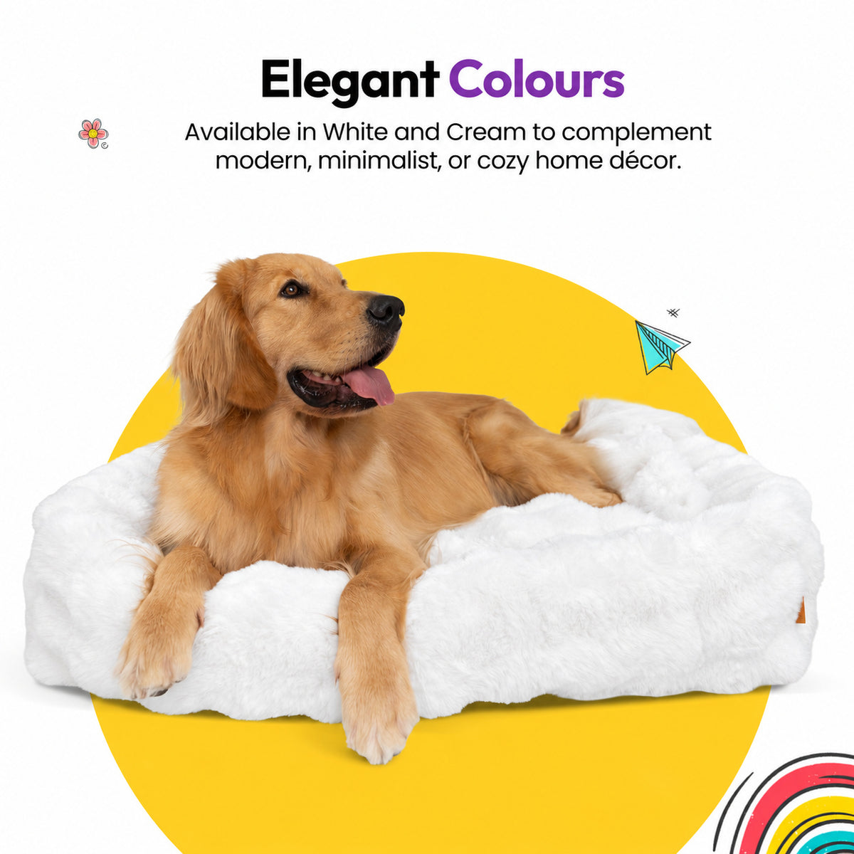 White | Furry Curves Rectangle Bed: Golden retriever in the White bed, headed Elegant Colours
