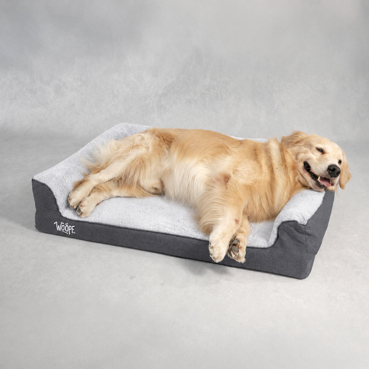 Grey | SNÖR Orthopedic Bed: Golden retriever stretched out on the Grey bed in a grey studio