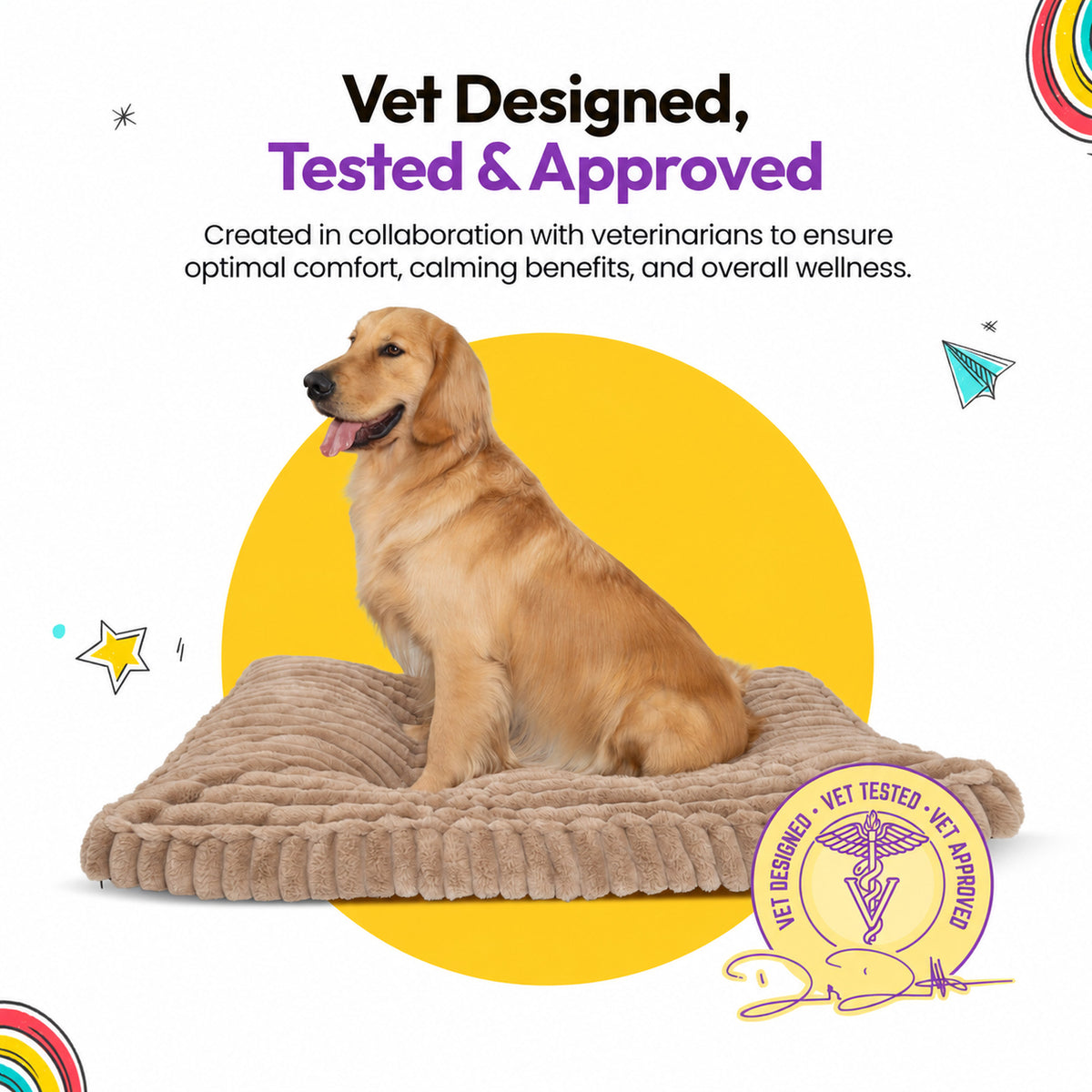 Brown | Furry Corduroy Sleeping Mat: Golden retriever sitting on the Brown mat beside a round seal, on a yellow graphic card