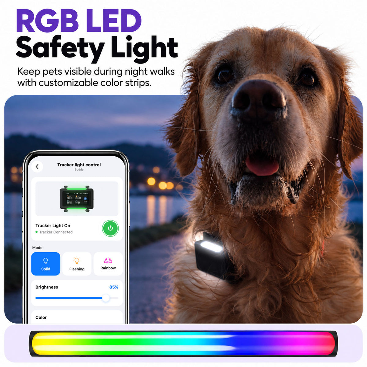 Black / Gold | Smart GPS & Health Tracker: Dog at dusk wearing the lit tracker, with a phone colour wheel and a rainbow light strip, headed RGB LED Safety Light