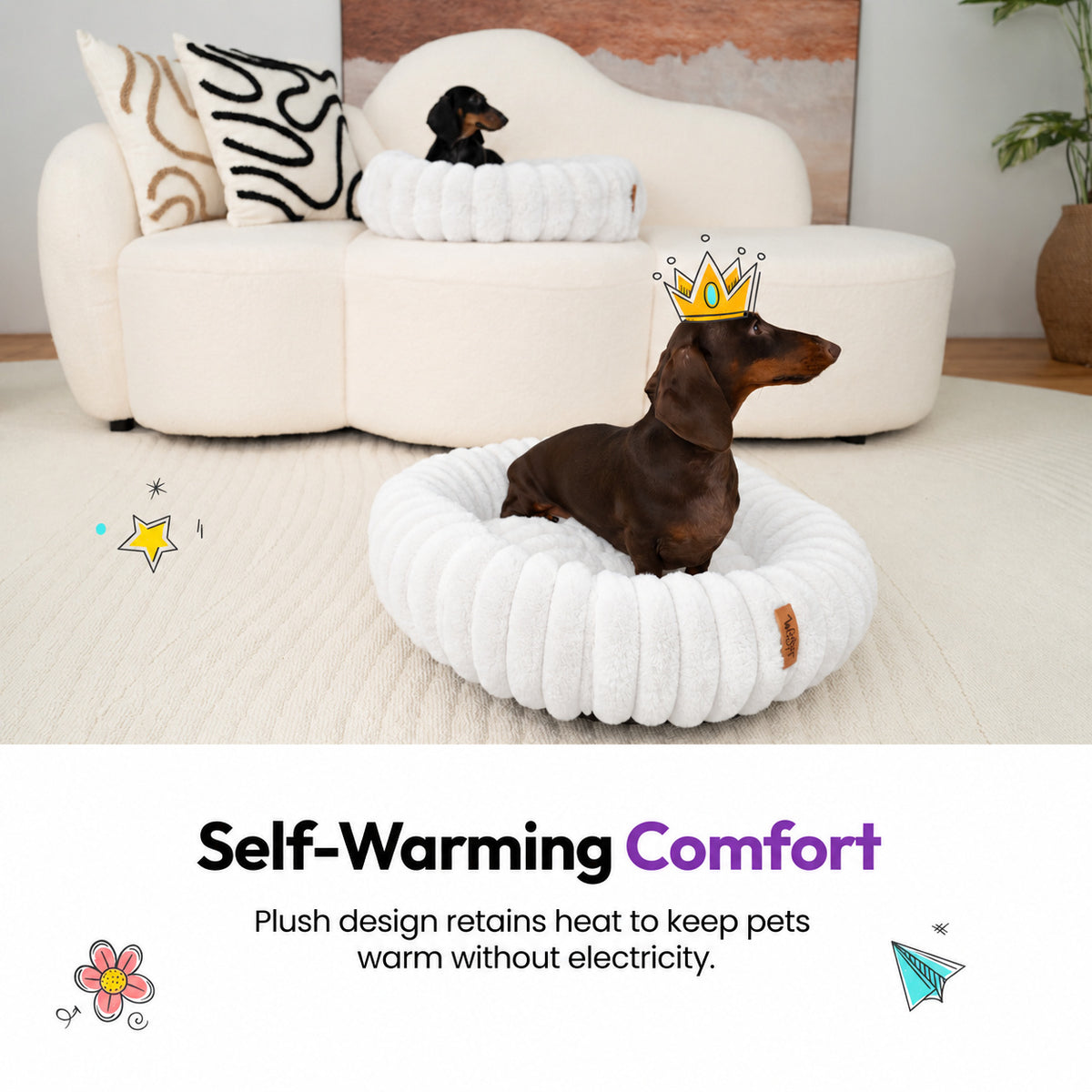White | Furry Corduroy Round Bed: Dachshund in a paper crown in the White bed, headed Self-Warming Comfort