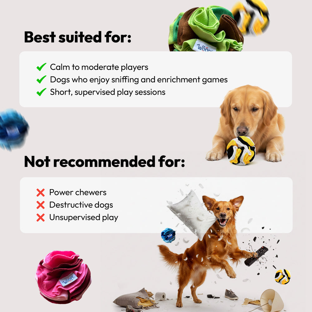Chase & Sniff Bundle