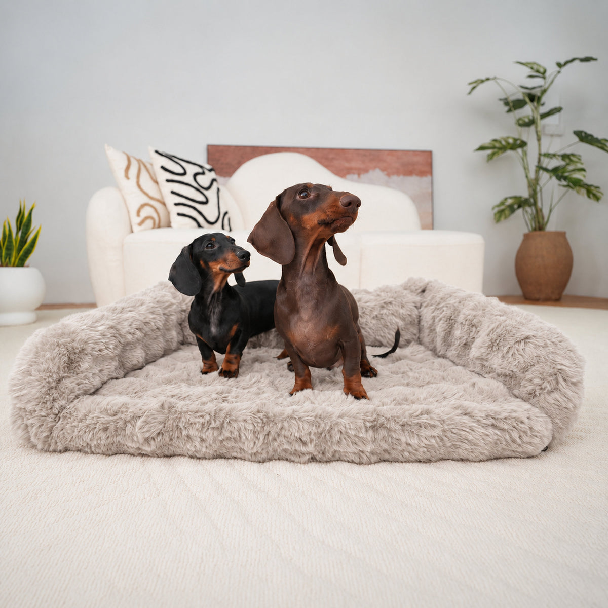 Cream | Furry Curves Open Front Rectangle Bed: Two dachshunds standing on the Cream bed
