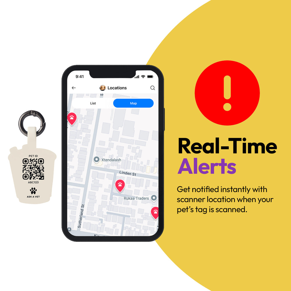 Smart ID Tag, Ramen