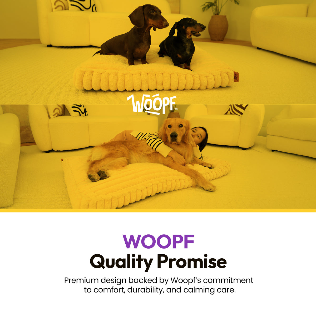 Pale pink | Furry Corduroy Sleeping Mat: Dachshunds on the mat and a woman with a golden retriever on it, in a yellow room with the WOOPF logo