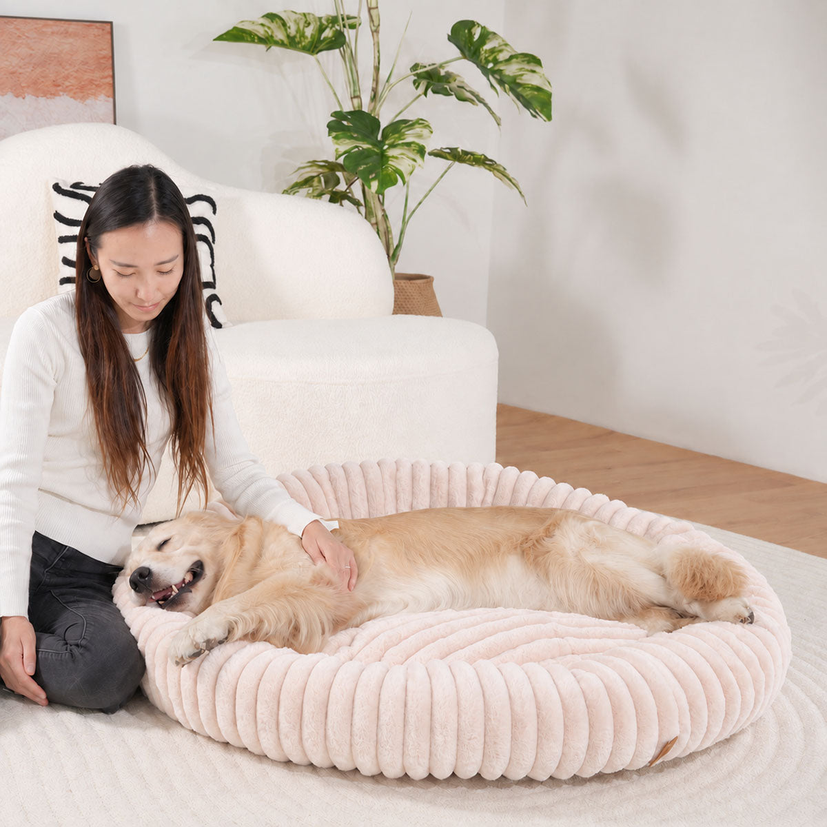 Pale pink | Furry Corduroy Round Bed: Woman stroking a golden retriever stretched across the Pale pink bed
