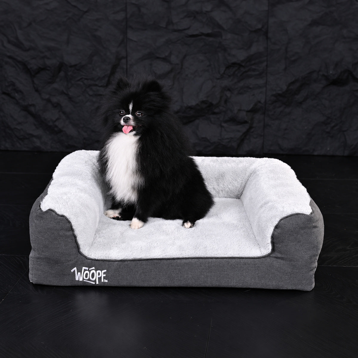 Grey | SNÖR Orthopedic Bed: Pomeranian sitting in the Grey bed on a black background