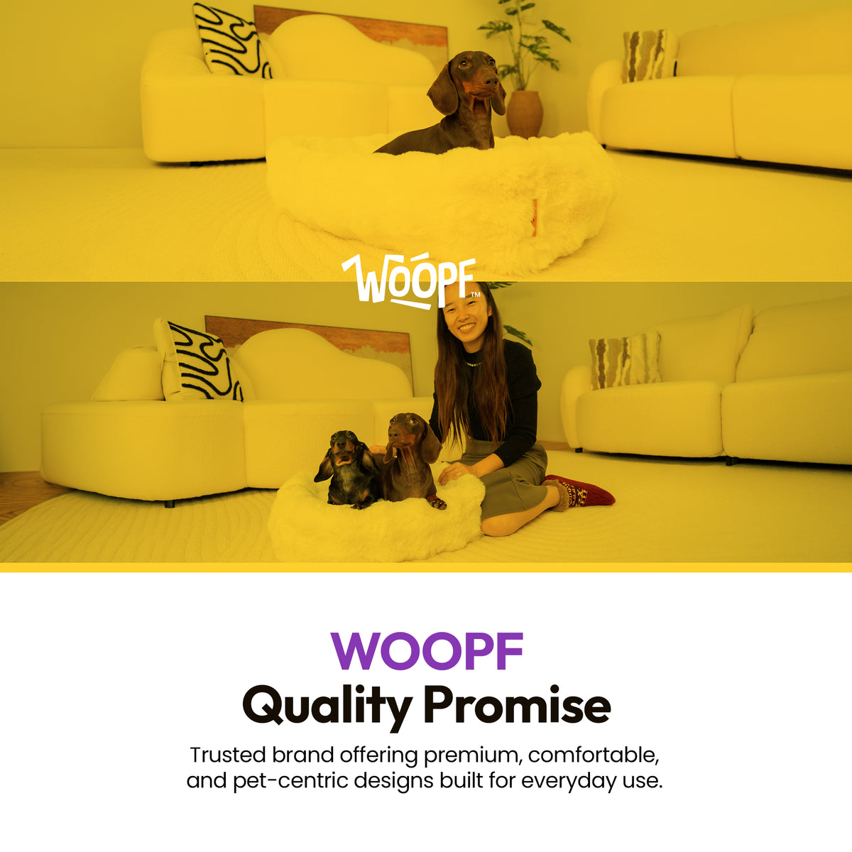 Cream | Furry Curves Rectangle Bed: Woman with two dachshunds in the Cream bed under a yellow wash, headed WOOPF Quality Promise