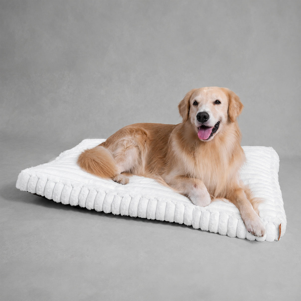 White | Furry Corduroy Sleeping Mat: Golden retriever lying on the White mat in a grey studio