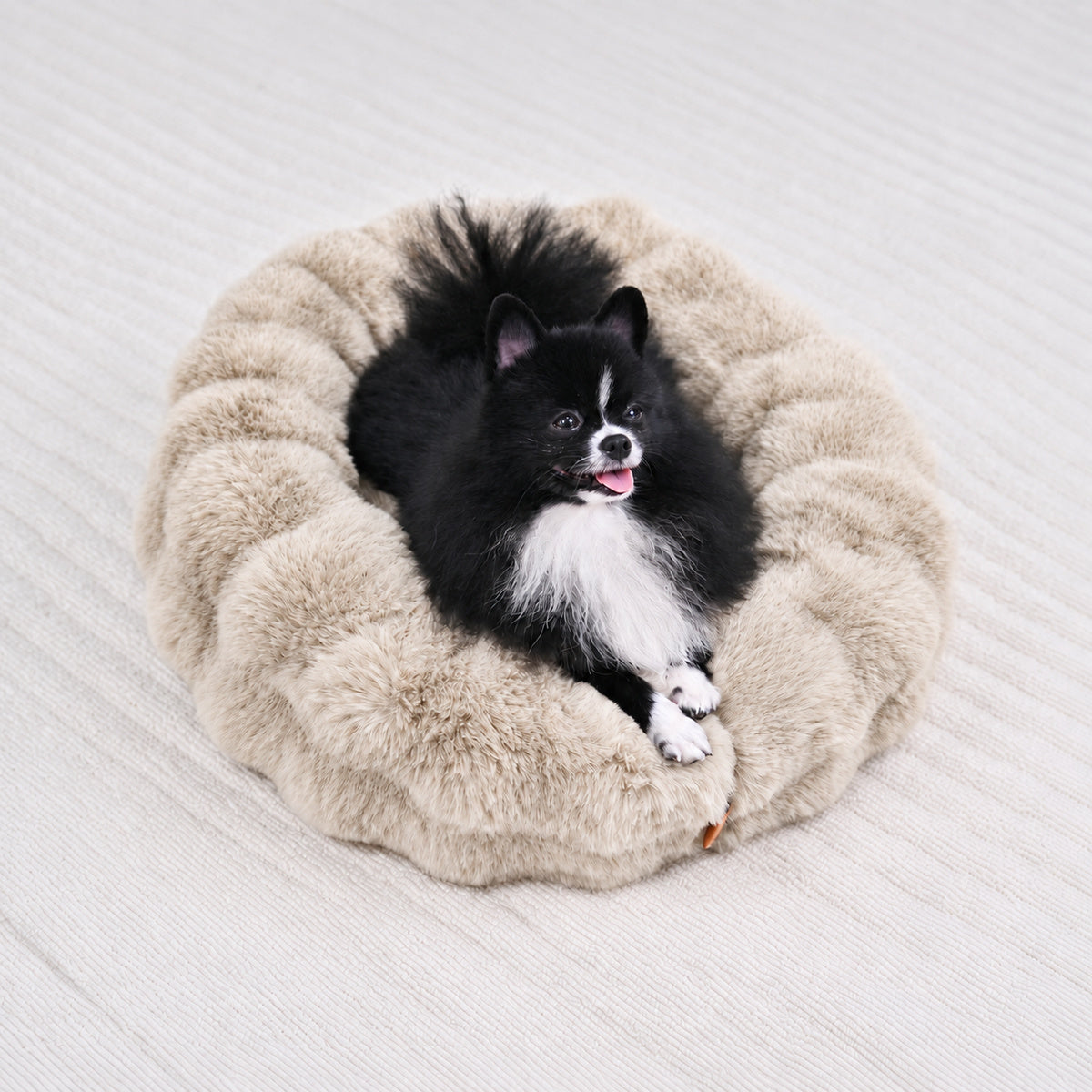Cream | Furry Curves Round Bed: A small black and white fluffy dog sitting in the Cream round bed