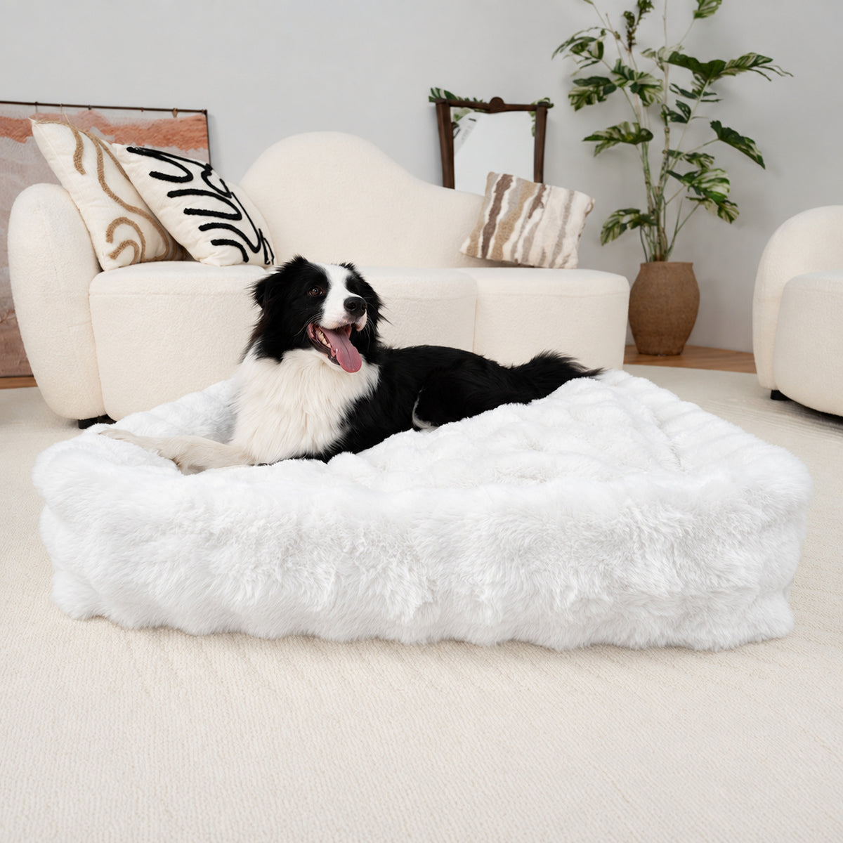 White | Furry Curves Rectangle Bed: Border collie lying in the White bed in a living room