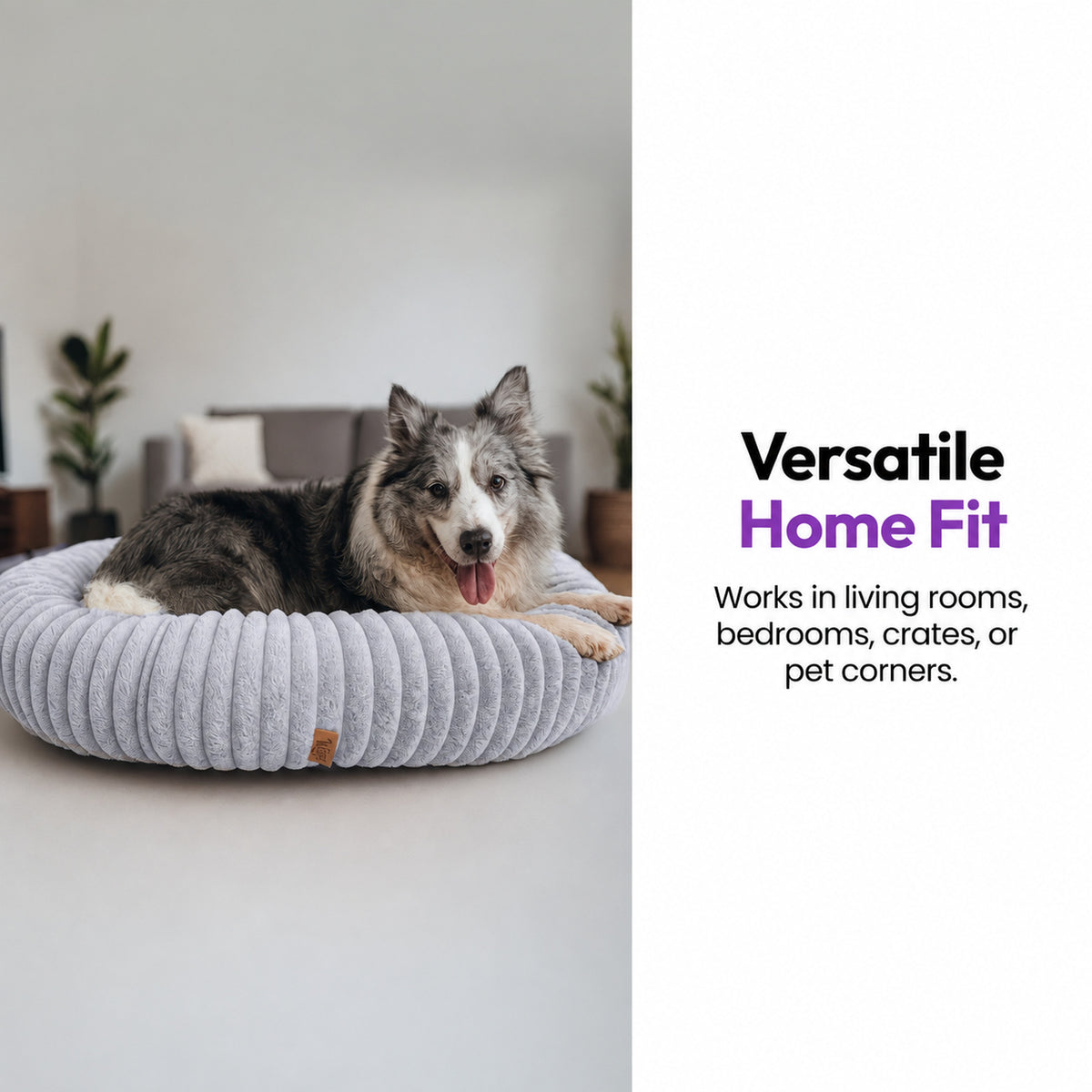 Grey | Furry Corduroy Round Bed: Grey and white dog lying in the Grey bed in a living room, captioned Versatile Home Fit