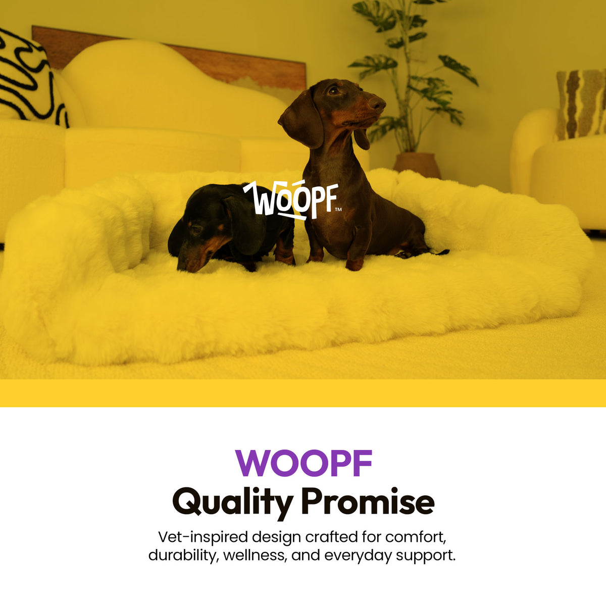 White | Furry Curves Open Front Rectangle Bed: WOOPF quality promise: a dachshund on the White bed