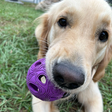 MeteorBite Ball