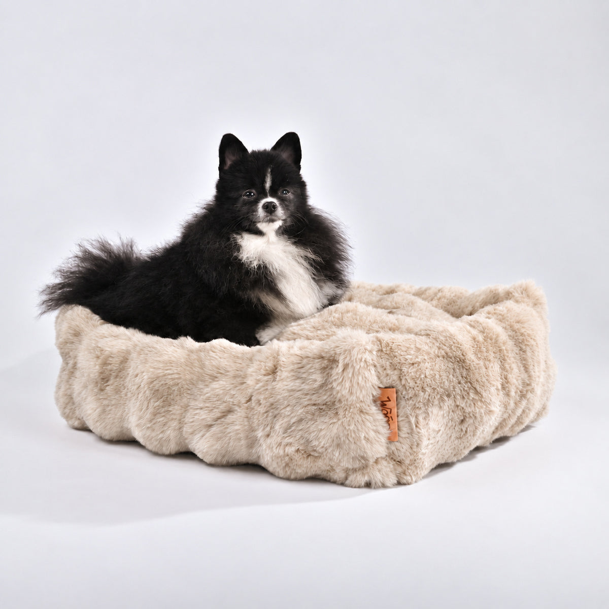 Cream | Furry Curves Rectangle Bed: Pomeranian in the Cream bed, seen from the side