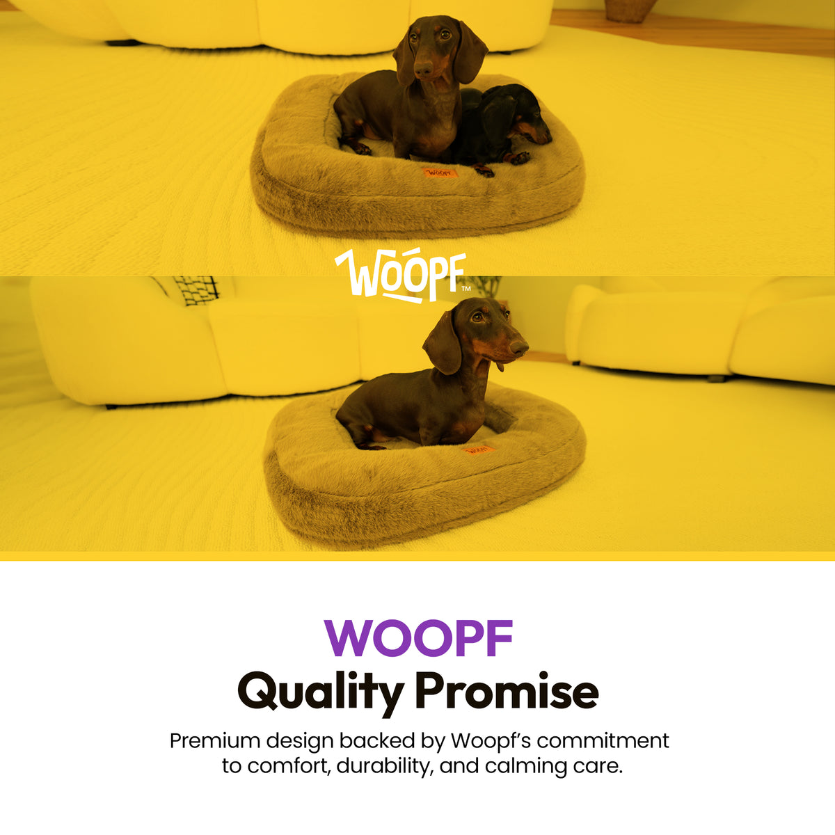Brown | Furry Range Rectangle Bed: Two scenes in a yellow-lit room with dachshunds in the bed, with the WOOPF logo