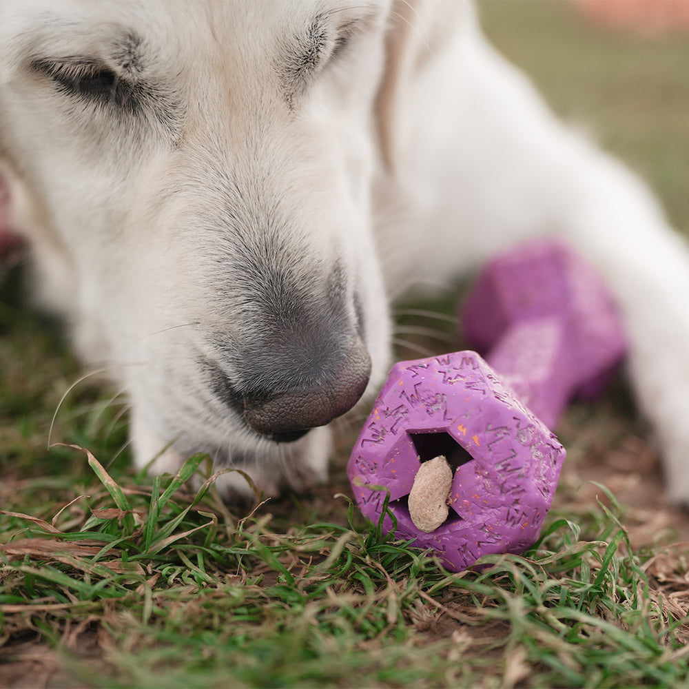 Chewster Blocky Bone, Purple