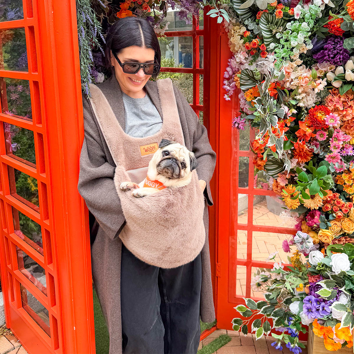 Brown | Furry Range Puppy Pouch: A pug peeking out of the Brown Puppy Pouch worn by a woman