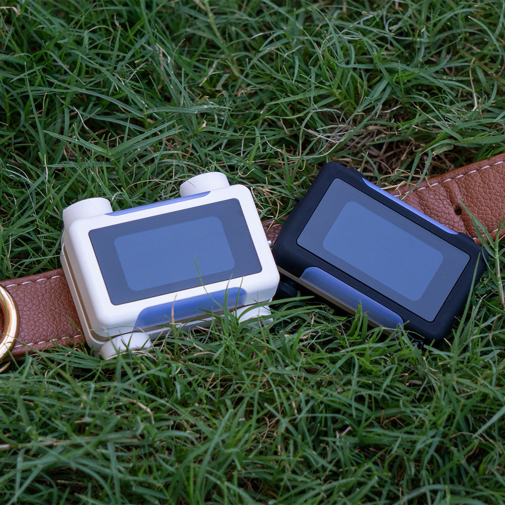 Smart GPS & Health Tracker, Black / Gold