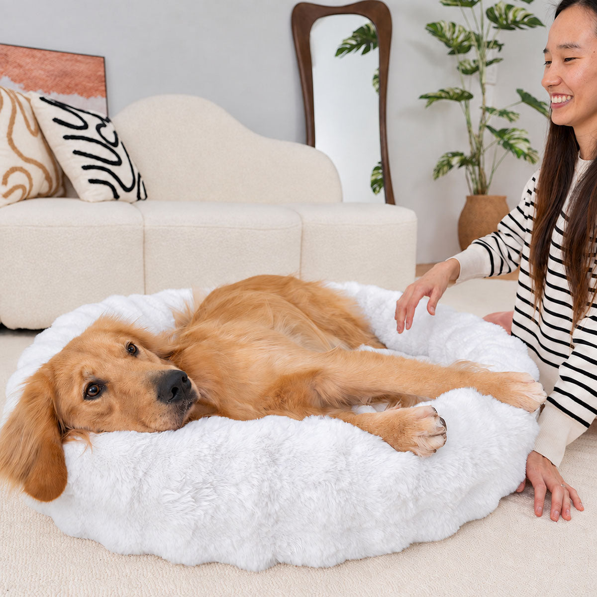White | Furry Curves Round Bed: A golden retriever stretched out in the White round bed in a living room