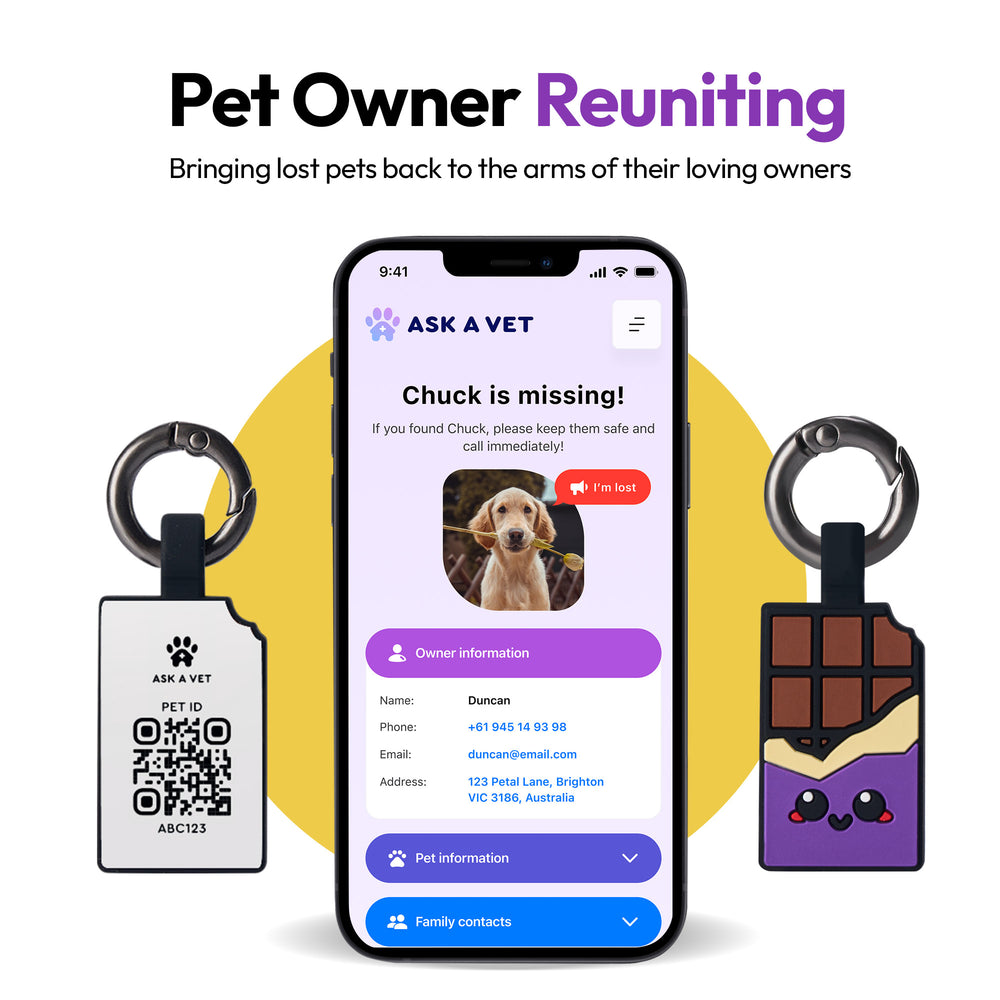 Smart ID Tag, Chocolate Purple