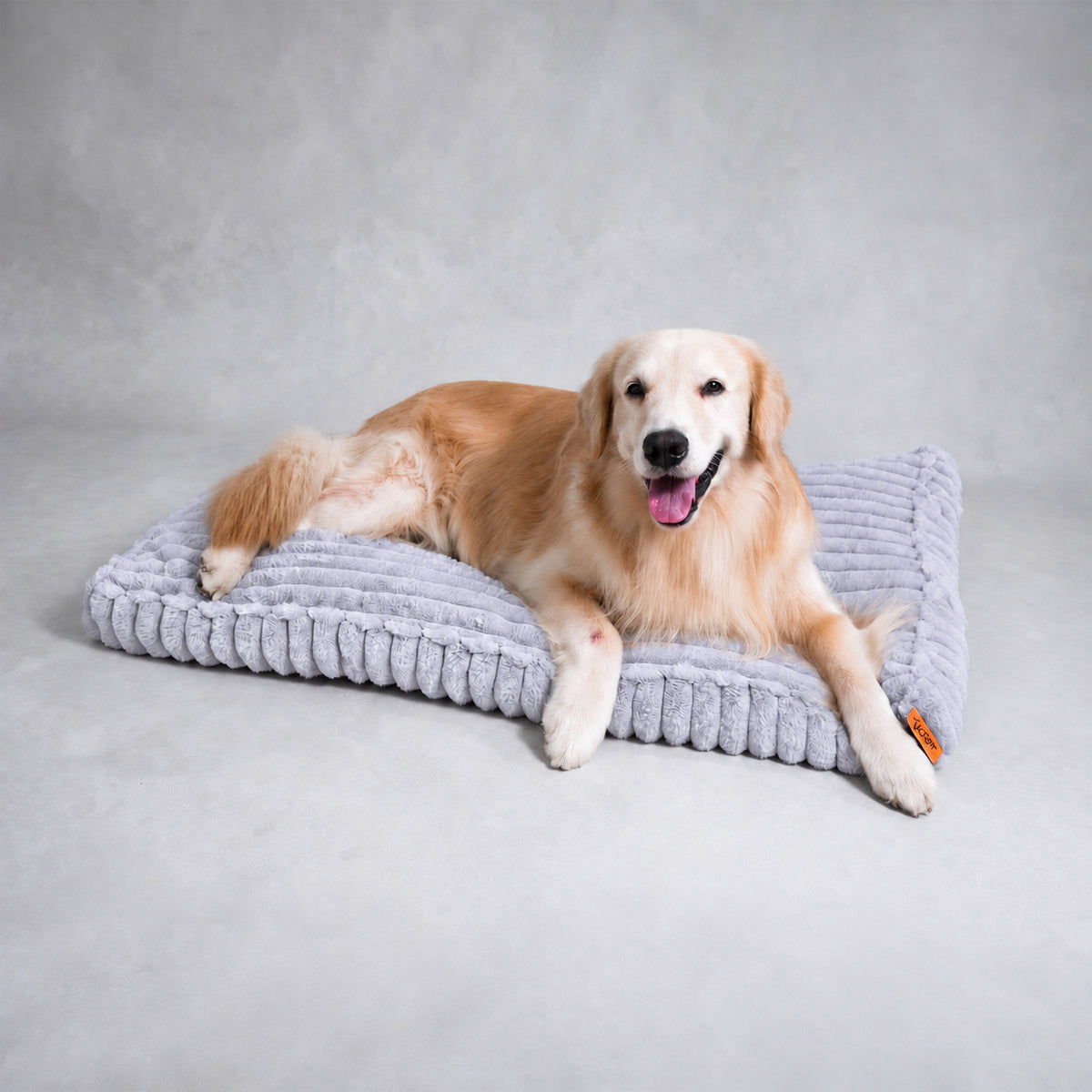 Grey | Furry Corduroy Sleeping Mat: Golden retriever lying on the Grey mat in a grey studio